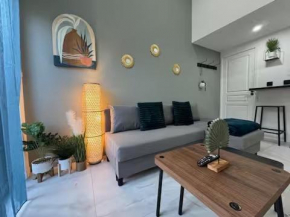 Petit Boudoir Lyonnais neuf terrasse climatisé